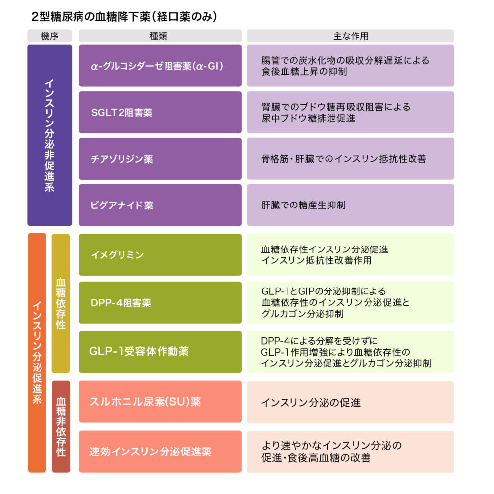 ２型糖尿病経口治療薬一覧