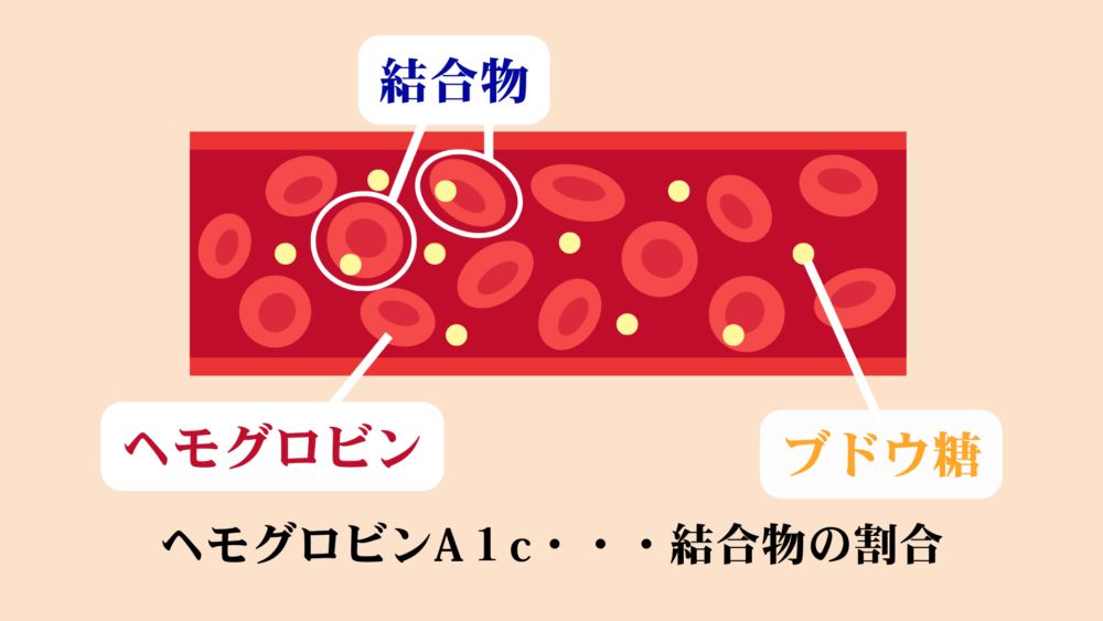 ヘモグロビンA1c (HbA1c)とは